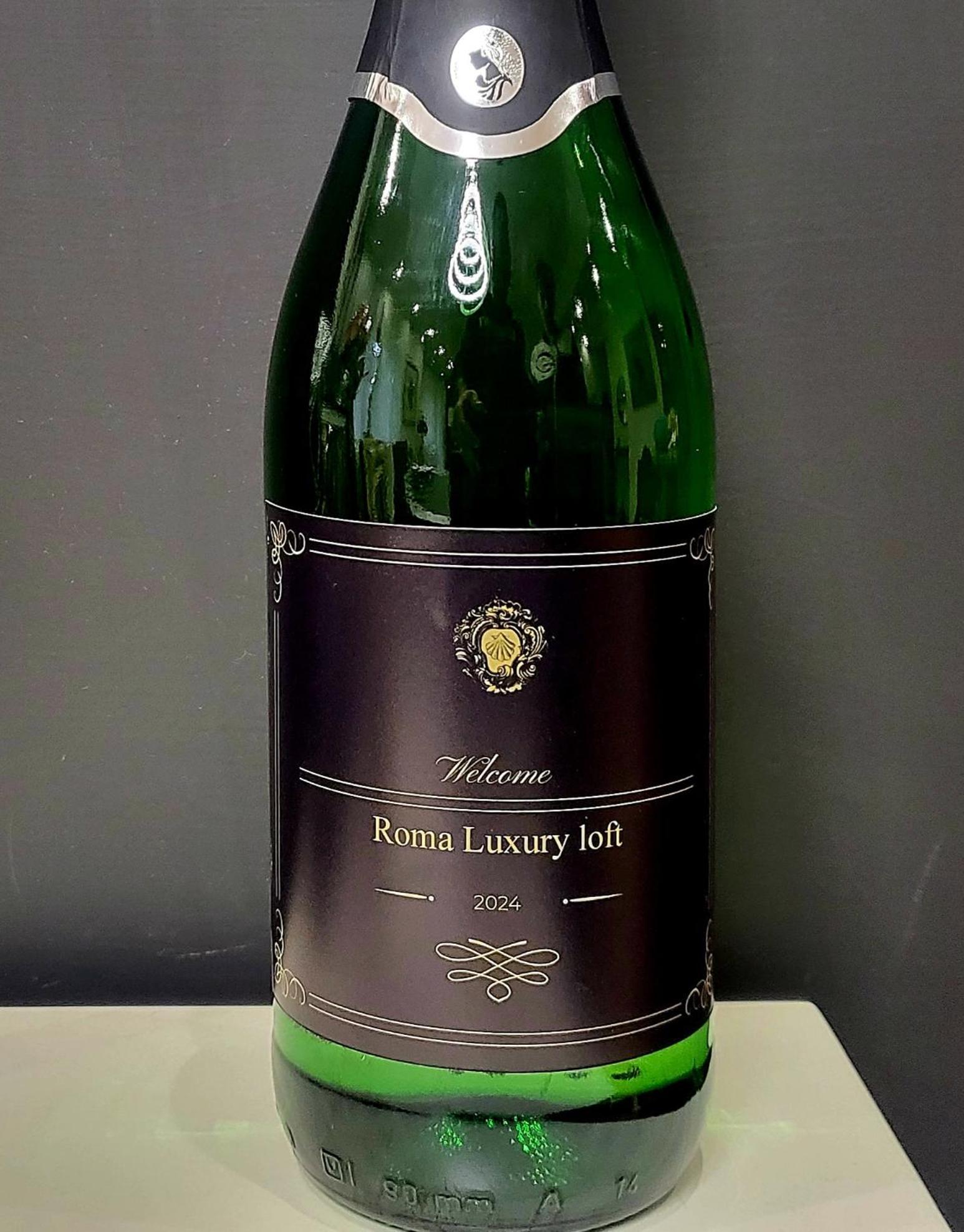 拉吉乌斯蒂尼阿纳Roma Luxury Loft公寓 外观 照片